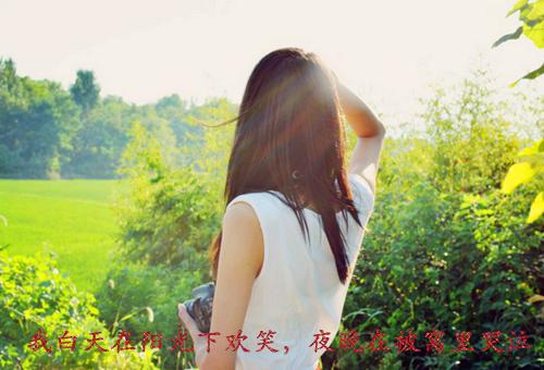 (完整版)顾闻惜席渊凛小说免费阅读无广告