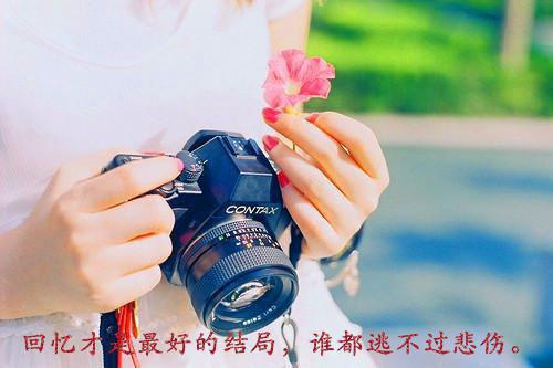 当朝女太子赈灾回宫后，假太子妃孩子四岁了免费试读 锦乐小说