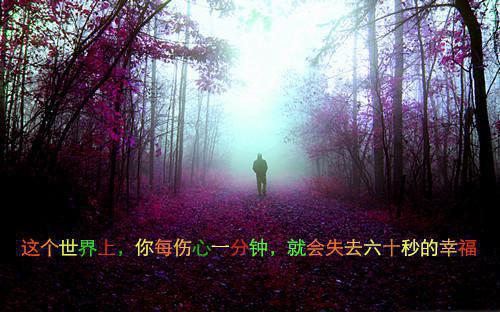 谢雁回最新章节免费 谢雁回第1章在线阅读