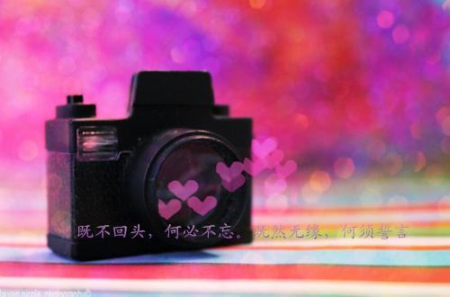 恨不相逢错爱时：正版最新小说（谢劲生姜月初）全文阅读