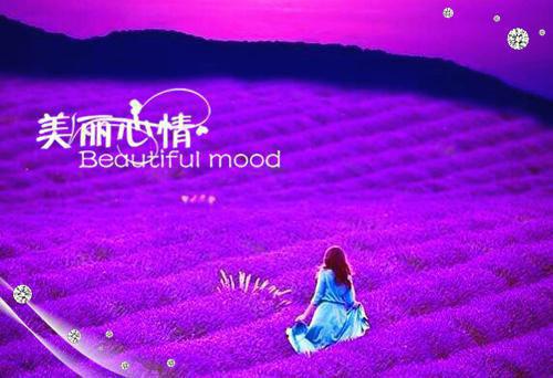 主角名是张伟李浩全文免费阅读正版