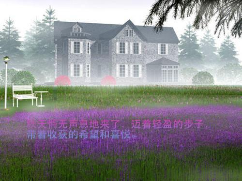 崔清凝裴凌樾小说免费试读 崔清凝裴凌樾第3章