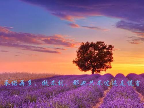 萧勉林若昭免费小说 萧勉林若昭全文阅读目录