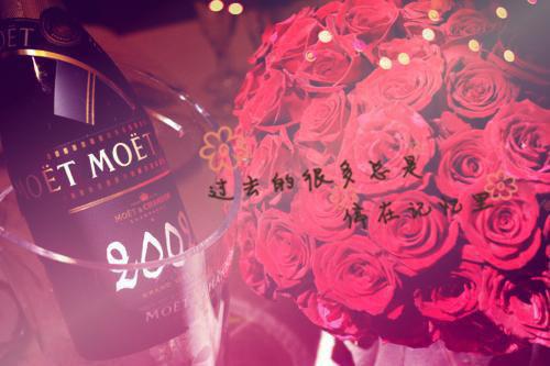 时喻白许薇小说名字 时喻白许薇全文免费阅读