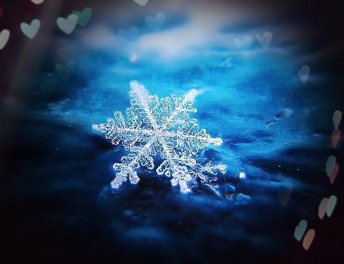 陈承谢长庚柳明澈完整未删减版在线阅读 陈承谢长庚柳明澈结局