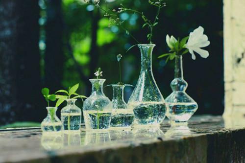 人面桃花长相忆阮雾梨：+结局+番外最新章节列表_人面桃花长相忆阮雾梨：+结局+番外全文免费阅读(阮雾梨闻砚辞)