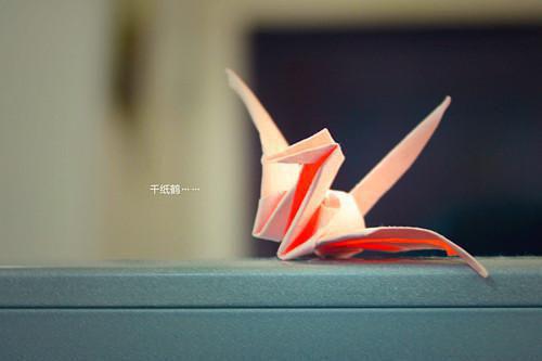 同来何事不同归温妤裴朝董瑶小说最新章节(在线阅读)