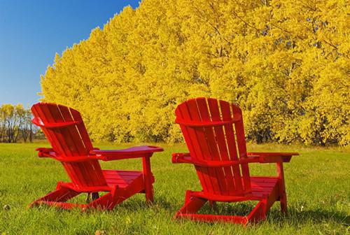 你拯救我又背叛我，我不爱你也离开你小说完整版 白薇顾远鸣在线阅读