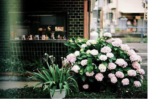 未婚妻和男闺蜜在夜店领证后(江青厉周雯媛)无弹窗阅读