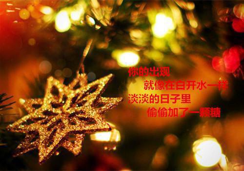 贺星屿宋扶云免费全文 贺星屿宋扶云小说在线阅读