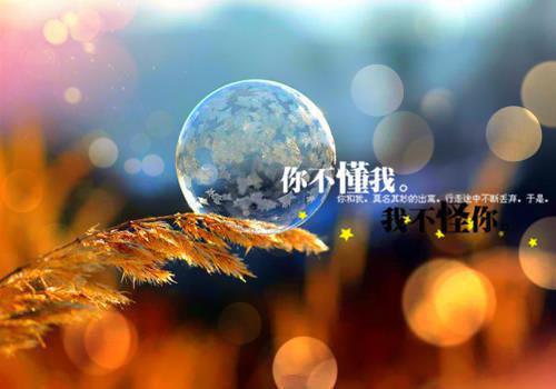 岳婉卿程越廷小说名字 岳婉卿程越廷全文免费阅读