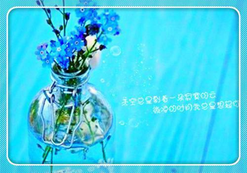 温婉温情小说 温婉温情免费章节阅读
