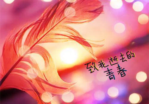 沈姝明夜：结局+番外新上热文 新章速递前夫的附加遗产，弟弟天天想上位：结局+番外评价五颗星