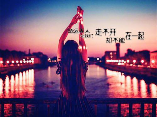 沈采薇谢筠沈南芷是什么小说 流放五年，我决定拉整个侯府陪葬佚名