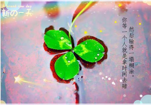 夫人不好了，京圈太子爷他又醋了！娄梦曼项若烟+番茄小说 夫人不好了，京圈太子爷他又醋了！娄梦曼项若烟+番茄免费阅读