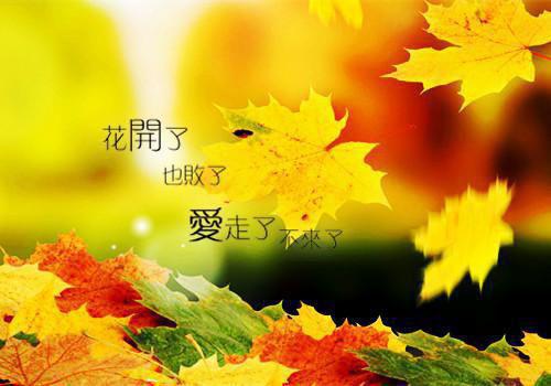 何明远金俊彦沈安宁小说免费阅读最新 说好的塌房，怎么越塌越红了完整版