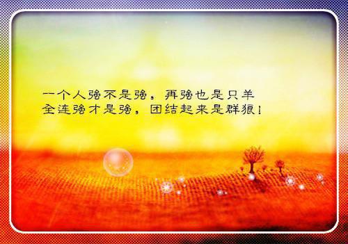 千山暮雪我独行​​​无弹窗阅读 崔明姝君璟叶曦月小说