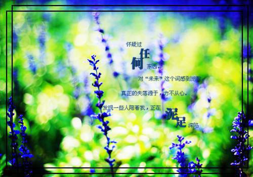 沈明月顾宴砚小说免费 沈明月顾宴砚第2章在线阅读