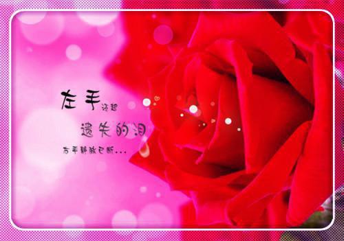 许思思陆锦辰许方好小说名字 许思思陆锦辰许方好全文免费阅读
