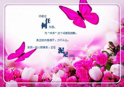 陆之珩徐安安免费阅读无弹窗 陆之珩徐安安最新章节