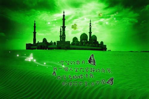 霍宴秦兮霍青陆鸢全文免费无弹窗 不见青山存章节试读