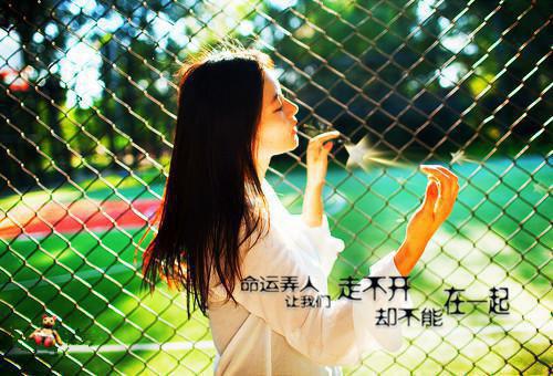 沈念夏傅辞衍小说目录 沈念夏傅辞衍完整免费版阅读