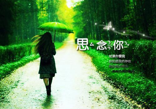 热文推荐程晚秋萧景泽程晚秋萧景泽：结局+番外精编之作