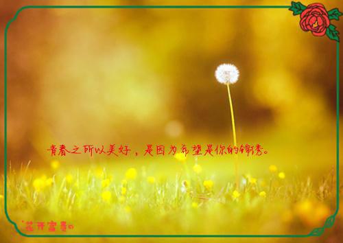 (番外)+(全文)爱于燃尽新生：结局+番外（顾云霄孟卿月）全文免费阅读无弹窗大结局_(爱于燃尽新生：结局+番外)最新章节列表_笔趣阁（顾云霄孟卿月）