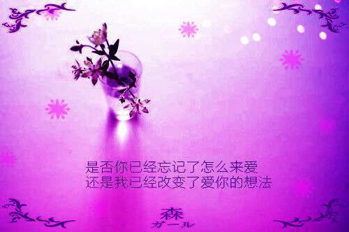 温芷约温灵瑶完整未删减版在线阅读 温芷约温灵瑶结局