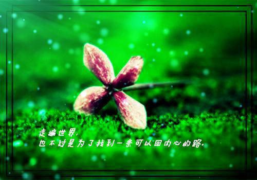 贺满月喻宥琛最后结局 贺满月喻宥琛完结版免费阅读