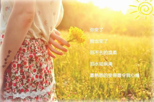 最新章节（夏安安简文翰）再无一人入我心：结局+番外精品选集附加章节列表