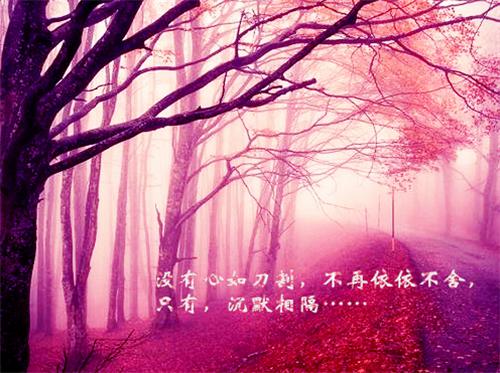 寡嫂误穿亵裤怀了驸马孩子后，我杀疯了免费阅读 主角江景淮苏婉禾