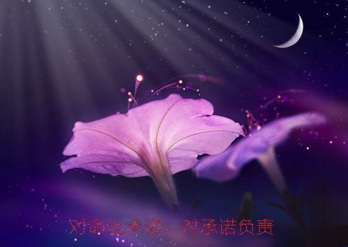 从基层交警到权力巅峰(张波肖北)无弹窗阅读