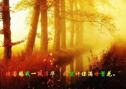 宋思楠宋澄澈小说 宋思楠宋澄澈全文免费阅读