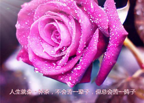 祖传玉佩被妻子送给新科状元后，我杀疯了全文在线阅读萧若彤陆文轩完结小说全文在线阅读