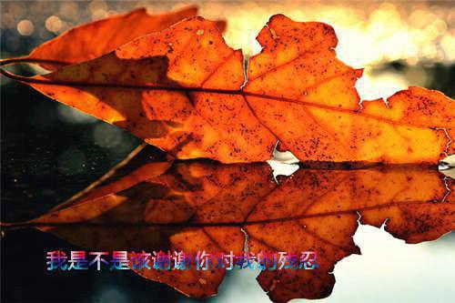 苏晓燕刘桂芬全文免费阅读最新 苏晓燕刘桂芬第6章