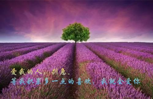 《容九思夕瑶小说》无弹窗全文免费阅读