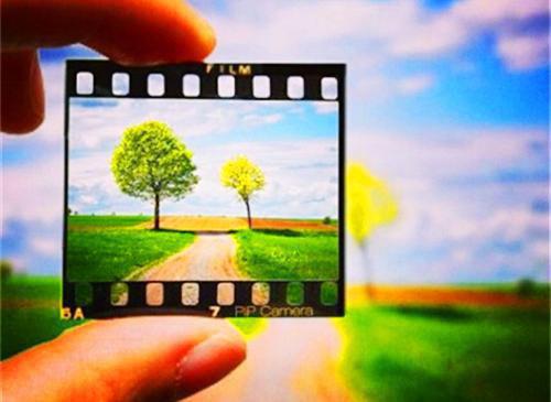 凌苍云羲全文阅读 凌苍云羲小说最新章节