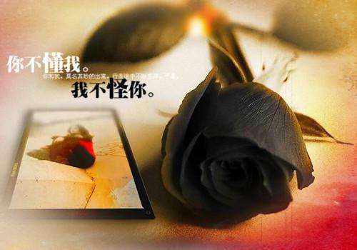 繁花盛意难平大结局：结局+番外（陆依霜轩辕翊）全文免费阅读无弹窗大结局_（繁花盛意难平大结局：结局+番外陆依霜轩辕翊）繁花盛意难平大结局：结局+番外陆依霜轩辕翊最新章节列表_笔趣阁（陆依霜轩辕翊）