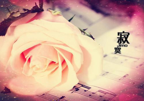 夏初宜季砚舟是什么小说 夏初宜季砚舟全本免费阅读