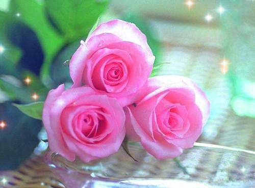 你都如何回忆我：结局+番外（温妤霍闻深）全文免费阅读无弹窗大结局_(你都如何回忆我：结局+番外温妤霍闻深后续大结局)你都如何回忆我最新章节列表温妤霍闻深_笔趣阁（你都如何回忆我：结局+番外）