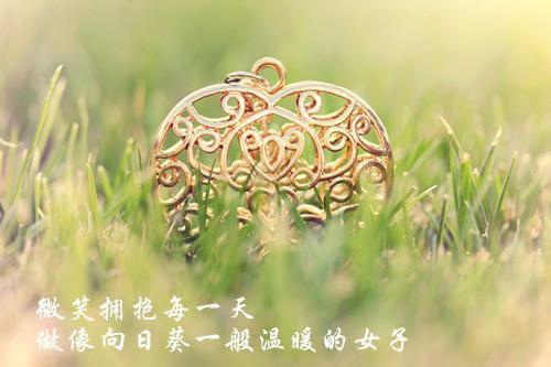 霜雪覆了来时路最新更新 周雨落许彦董沁沁免费读
