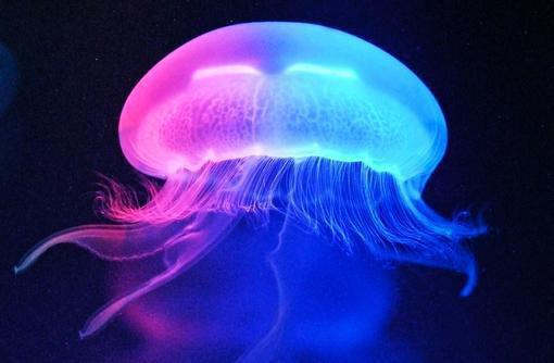 星光尽头再无你李清清赵寻月最新章节在线阅读