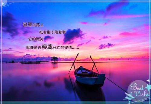 爱似繁星遇流萤江语莹沈星野小说(爱似繁星遇流萤)（江语莹沈星野）在线畅读+开篇大作+前传