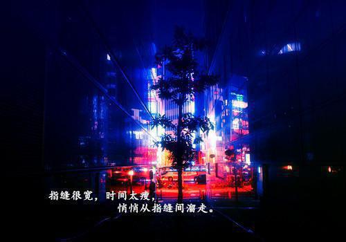 她的荒野我的余生(裴韶温念念)无弹窗阅读