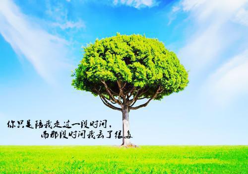沈婉宁的小说你与月光一同褪色：江临川沈婉宁全文在线阅读