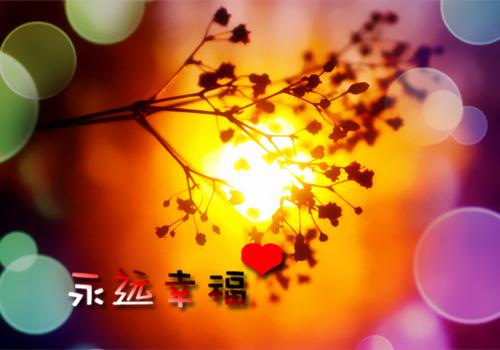 林清妙沈泽俢主角的书 过期情深，迟爱难解全文阅读免费