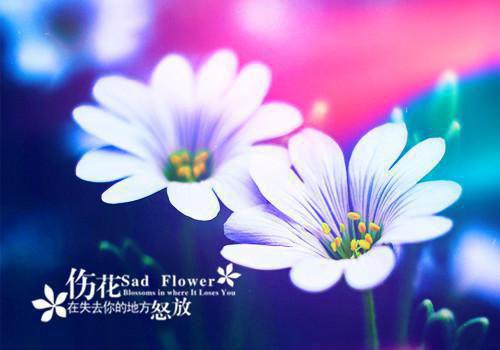 瑶阶白露燕南飞：（燕青瑶傅闻白）已完结，瑶阶白露燕南飞：已完结