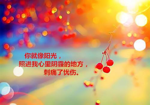 蓝天顾懂小说(怂怂如我)最近更新（蓝天顾懂）整本无套路阅读