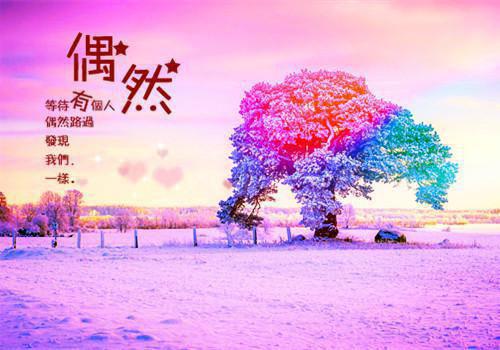 重生奶团：听我心声后妈妈杀疯了：番外+全文+后续小说 重生奶团：听我心声后妈妈杀疯了：番外+全文+后续大神